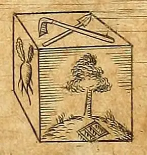 Sólido platónico Cubo de Johannes Kepler