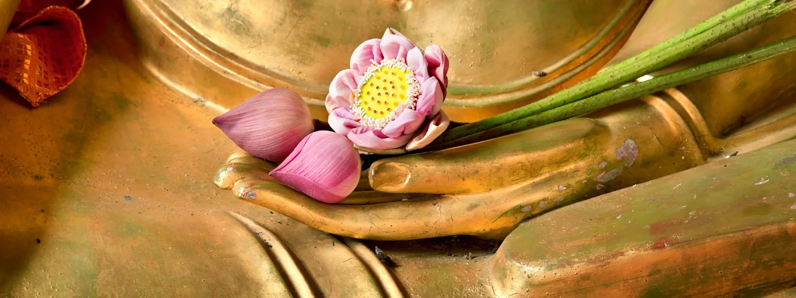 lotusblüte Buddhismus