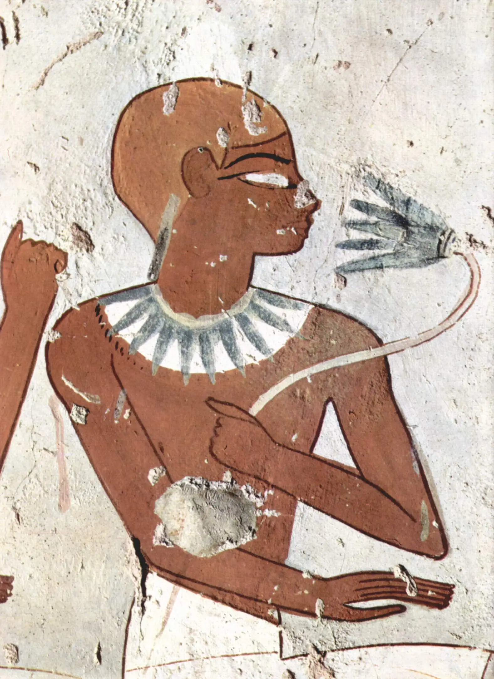 darstellung Lotusblüte Altägypten