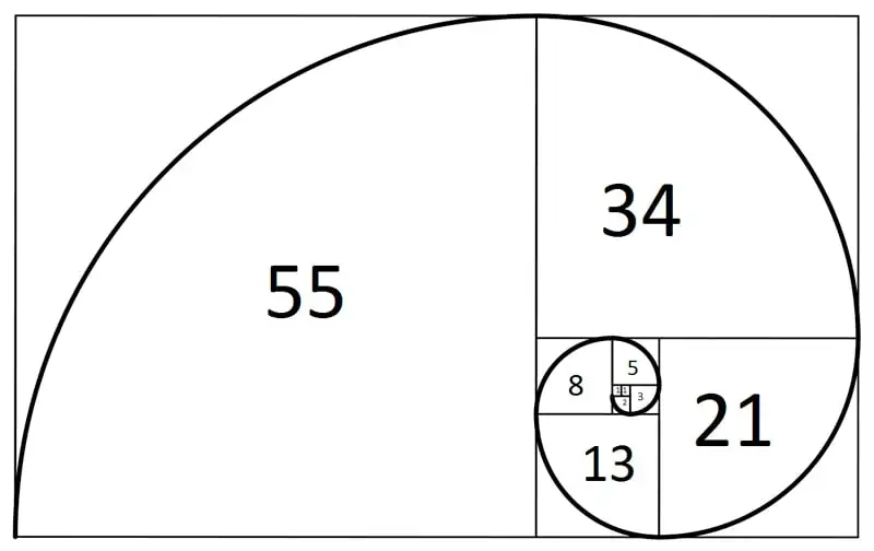Dibujar el rectángulo áureo y la espiral de Fibonacci