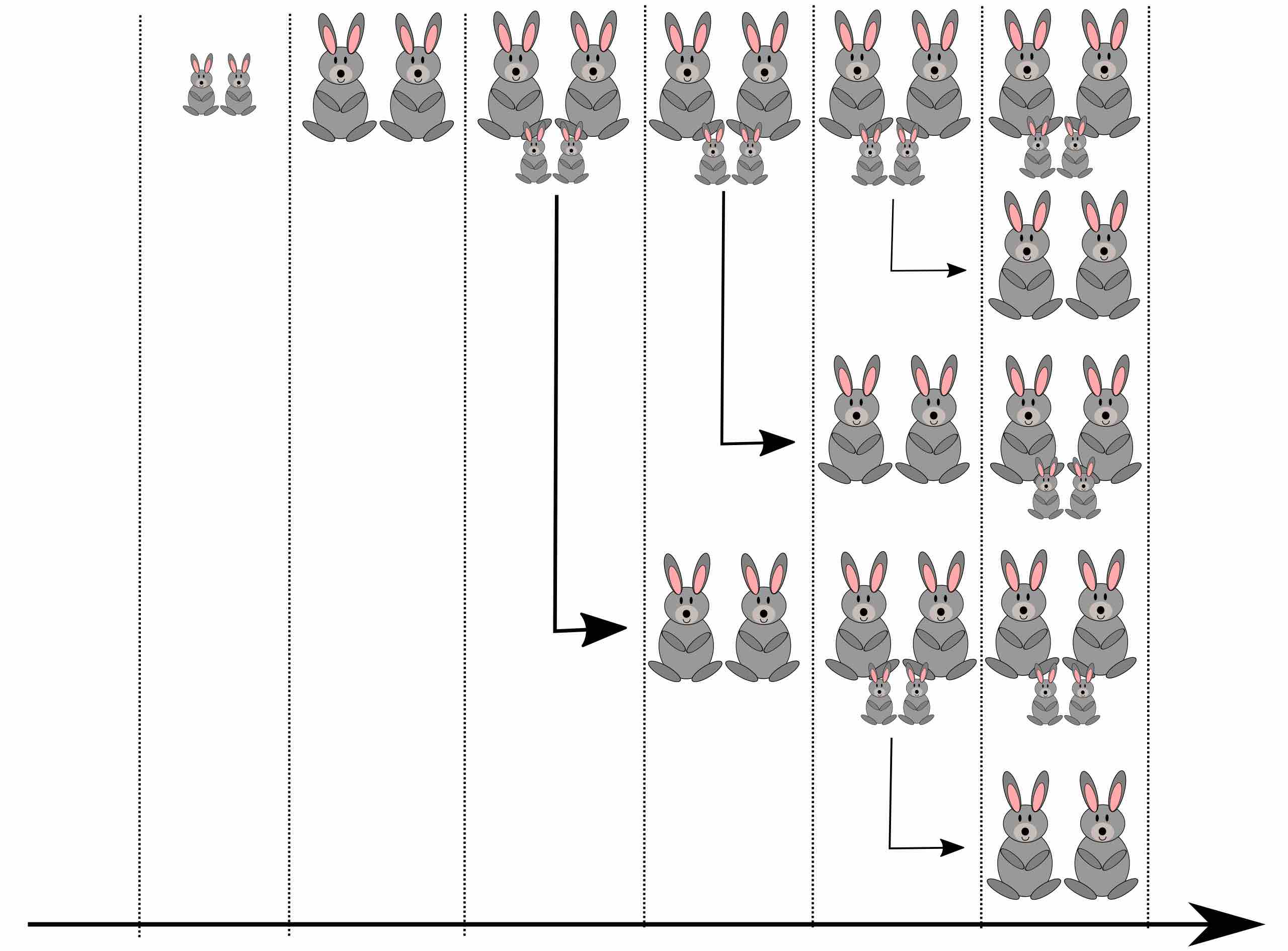 Conejos secuencia matemática de Fibonacci