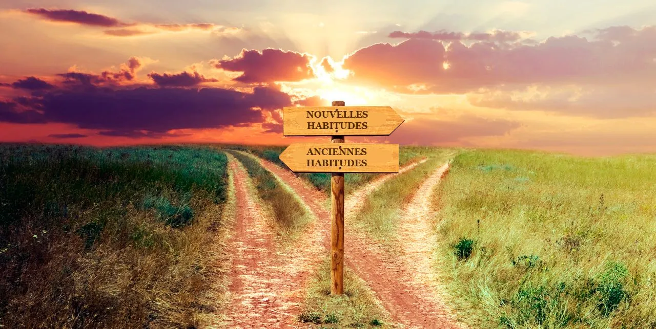 Due sentieri nella campagna con cartelli che indicano vecchie abitudini e nuove abitudini, a simboleggiare la scelta di trasformazione e di evoluzione personale