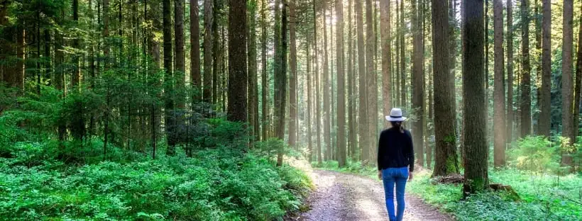 Woman walking in a forest, reconnecting with nature to center herself and raise her vibrational frequency