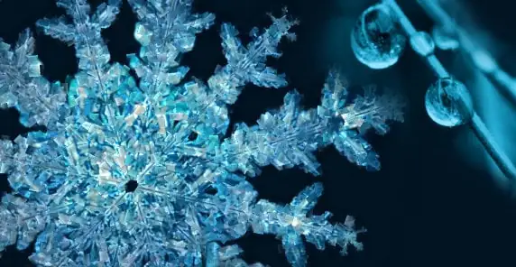 Amplíe una hermosa cristalización, resaltando las formas geométricas perfectas creadas por el crecimiento natural de los cristale