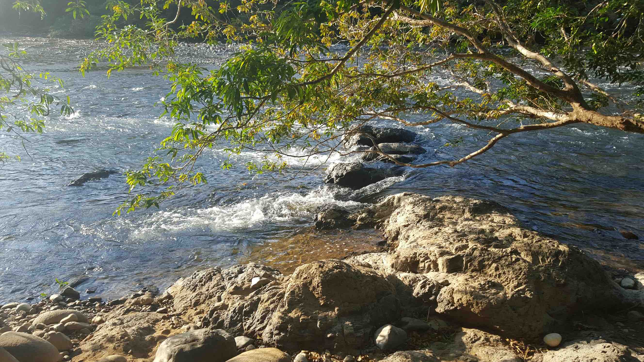 Peaceful river, symbolizing the flow of life, serenity, and the fluidity of emotions