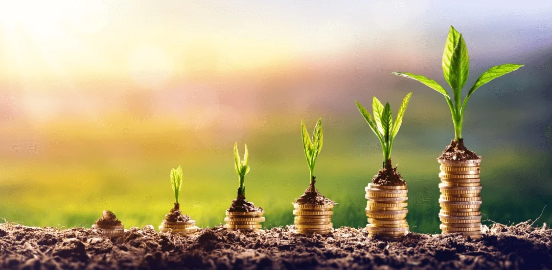 Growing piles of coins with plants, symbolizing the attraction and growth of financial energy and abundance