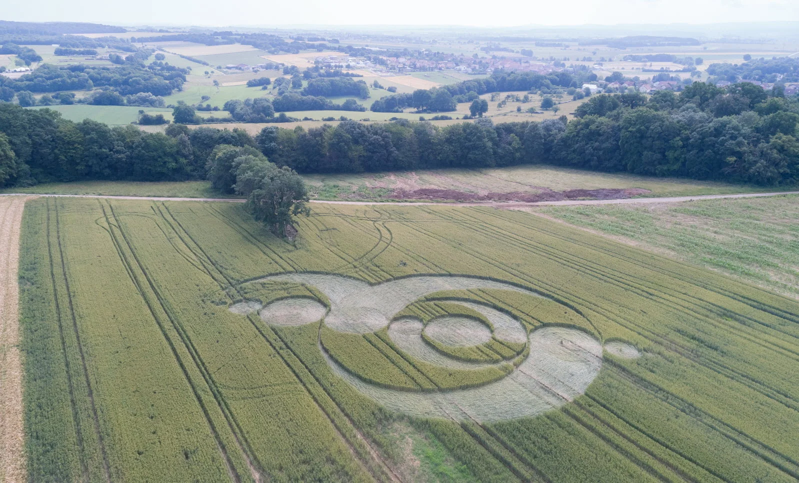kreisförmiger kreis in sarraltroff im moselgebiet, der Fragen zu seiner entstehung aufwirft