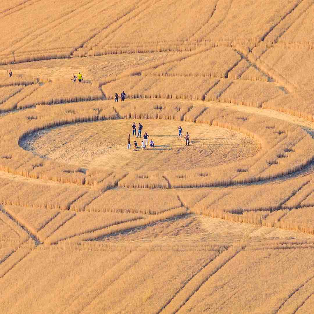 personen in der Mitte eines Agroglyphen, das in einem Weizenfeld gebildet wurde