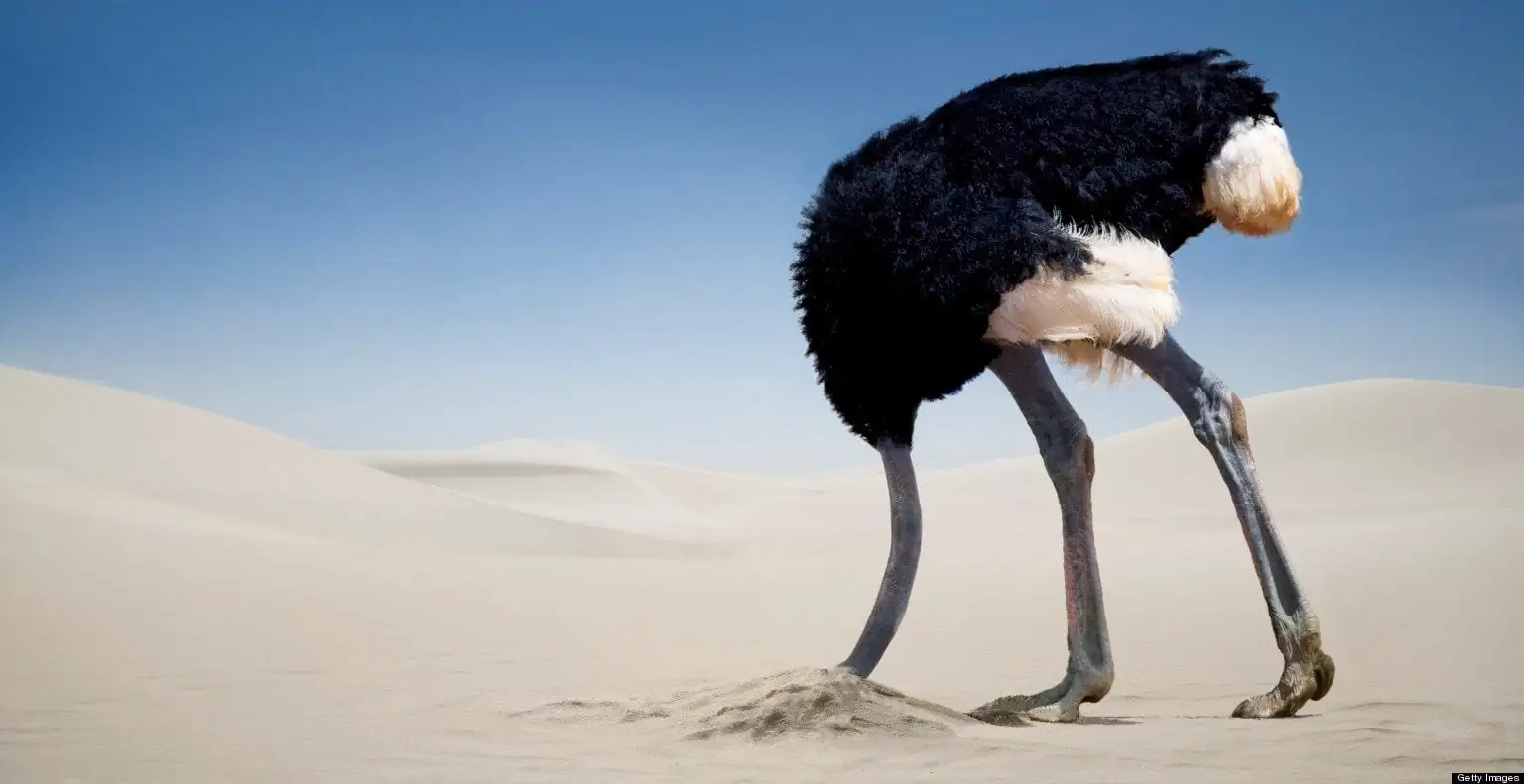 An ostrich burying its head in the sand, symbolizing the avoidance of difficult realities and the importance of discernment to address situations consciously