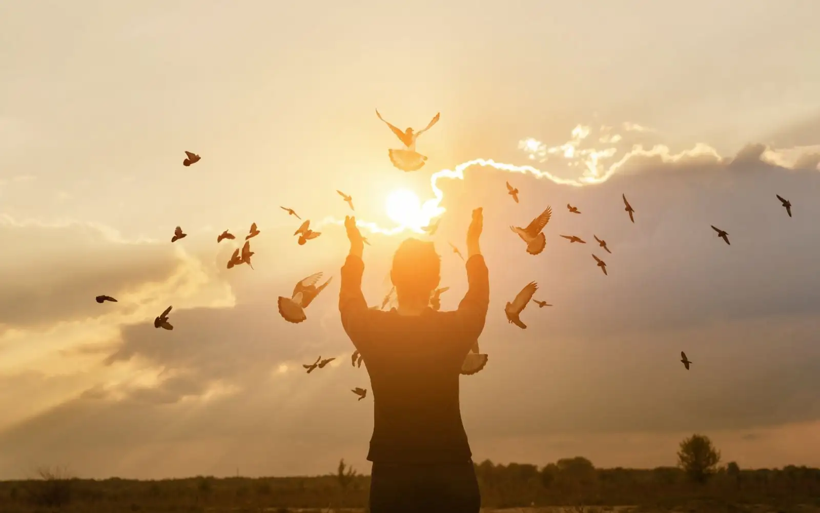 Mujer honrando el sol en la naturaleza