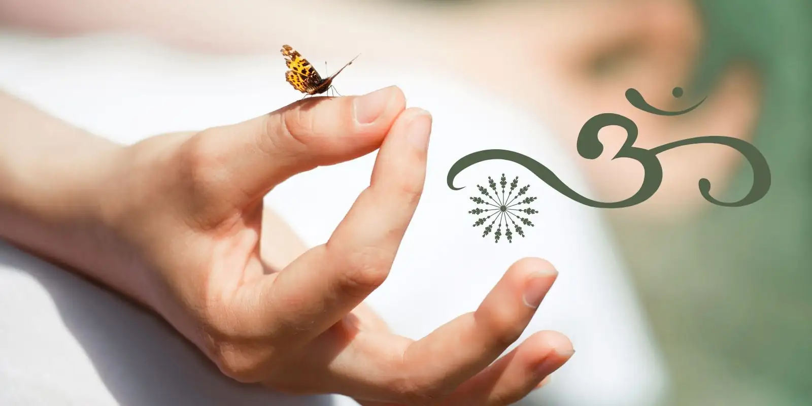 Person in Meditation mit einem Schmetterling auf den Fingern und dem Om-Symbol, einem Bild für Frieden, Transformation und heilige Schwingung