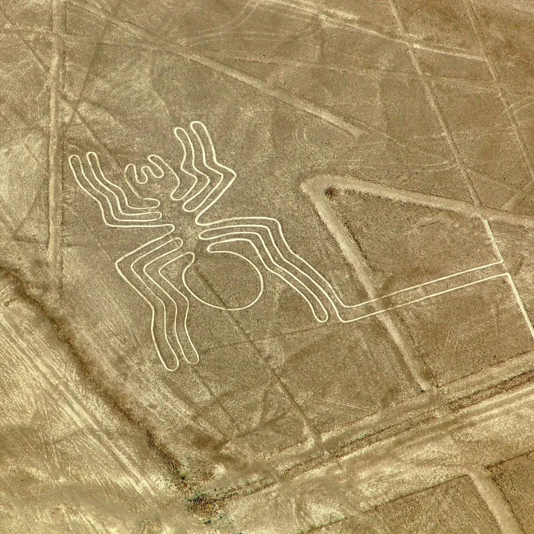 Photo du géoglyphe de l'araignée de Nazca, une figure géante gravée dans le désert péruvien représentant une araignée