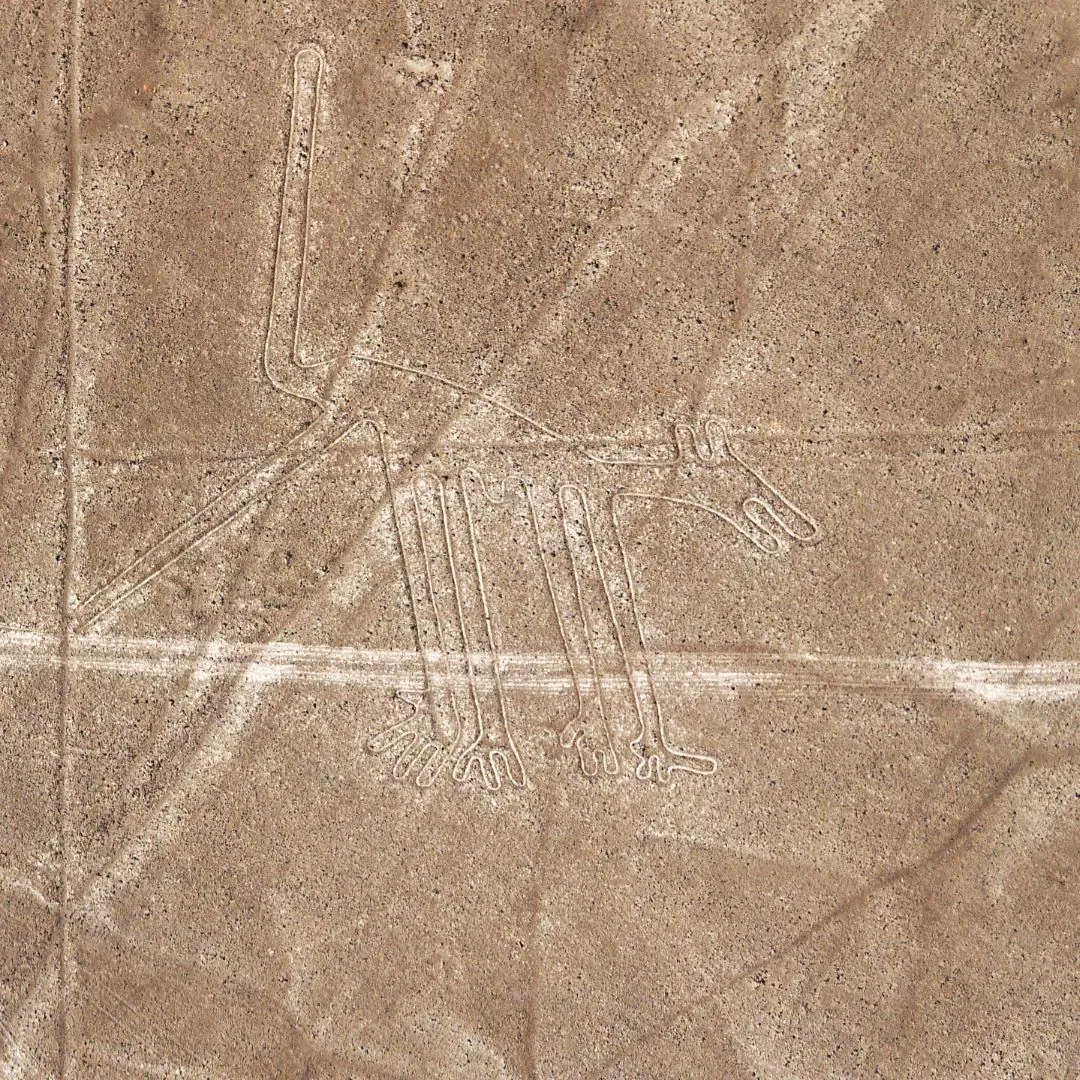 Photo du géoglyphe du chien de Nazca, une figure géante gravée dans le désert péruvien représentant un chien
