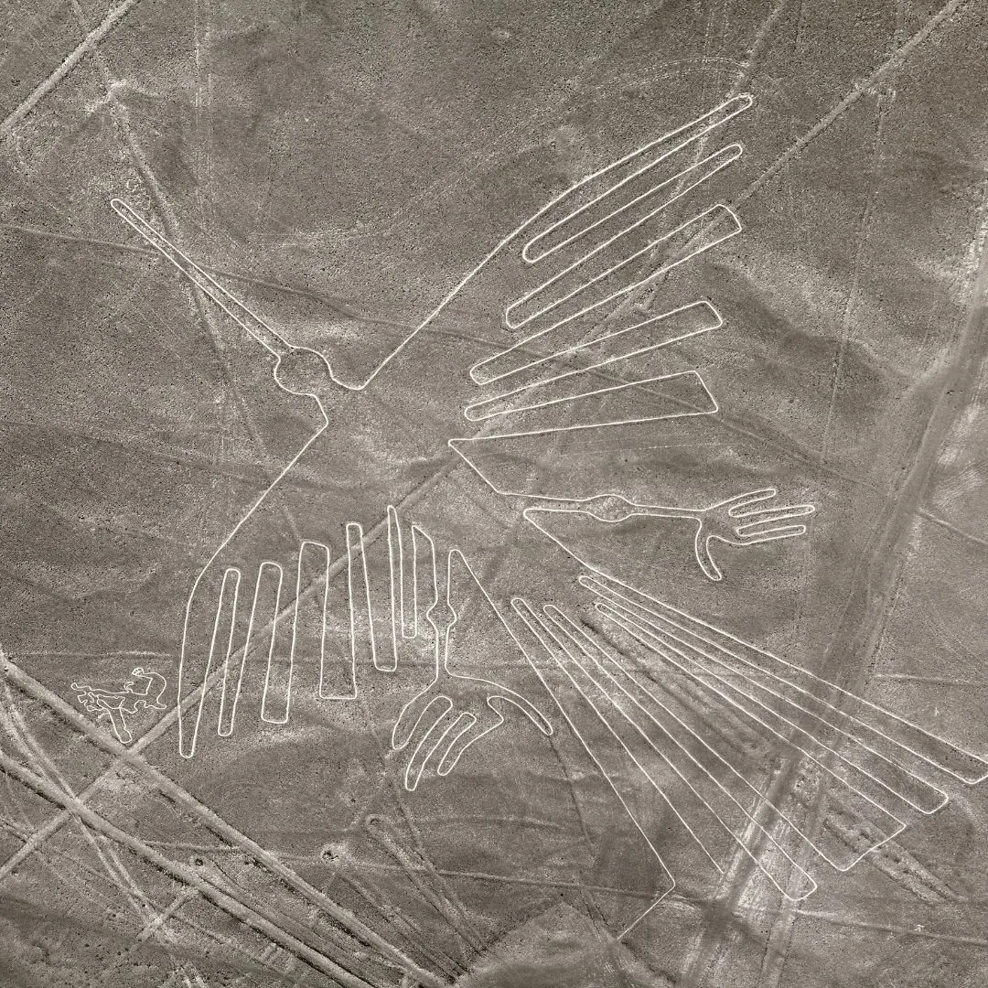 Photo du condor de Nazca, géoglyphe emblématique représentant un oiseau géant dans le désert péruvien