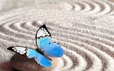 5 Tipps, um sich von negativen Energien zu befreien