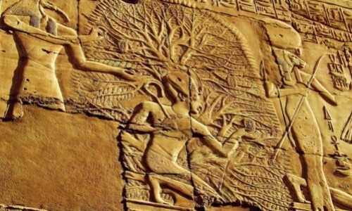 Importance of the Tree of Life in Ancient Egypt